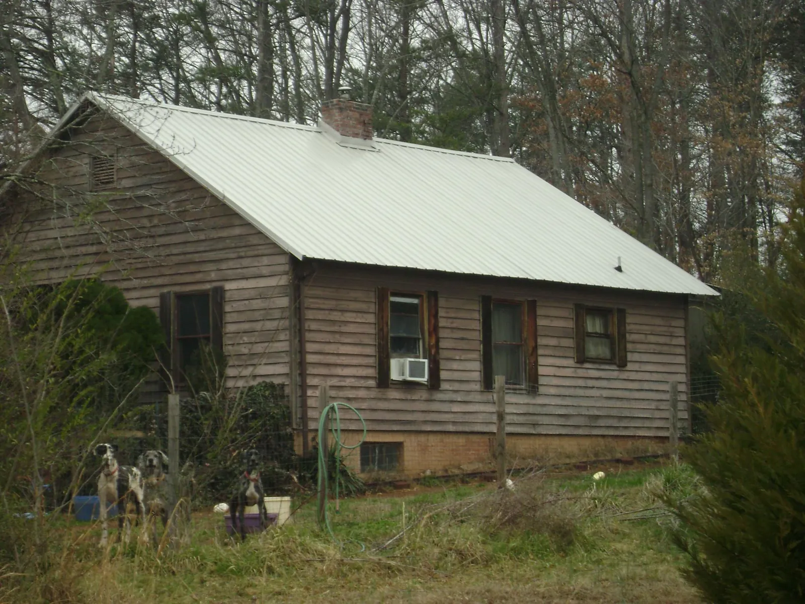 White metal roof on an old wood sided farmhouse, from a Metal Roof Installation job in Bedrock
